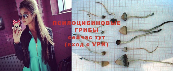 PSILOCYBIN Красноперекопск