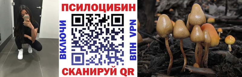 сколько стоит  Стрежевой  Галлюциногенные грибы прущие грибы 